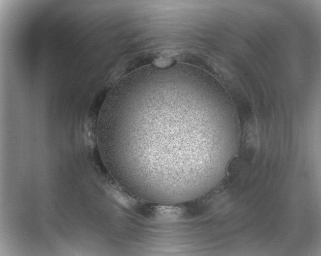 X0000070370234200606121243