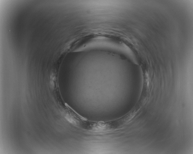 X0000070370235200606121243