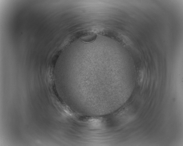 X0000070370236200606121243