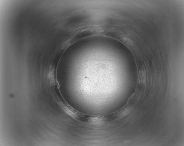 X0000070370238200606121243