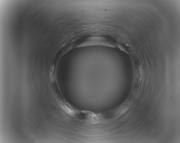 X0000070370239200606121243