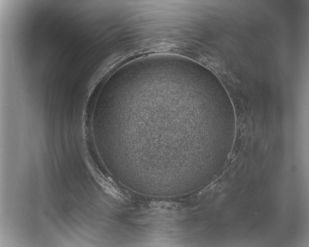 X0000070370242200606121242