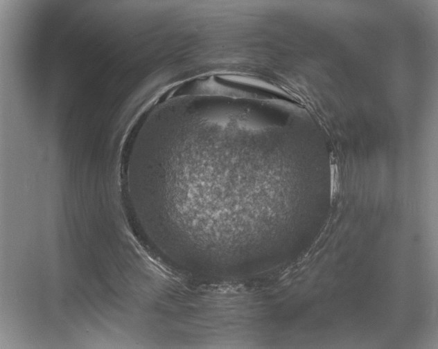 X0000070370243200606121242