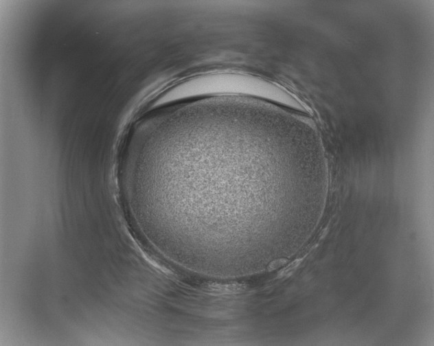 X0000070370245200606121242