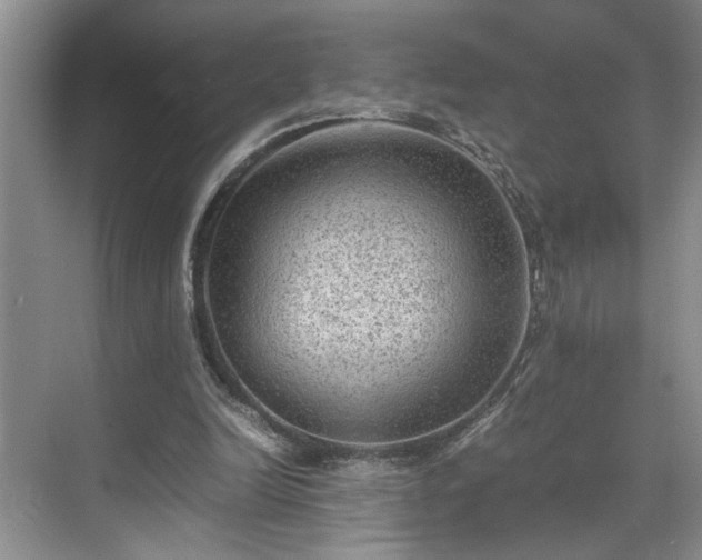 X0000070370246200606121242