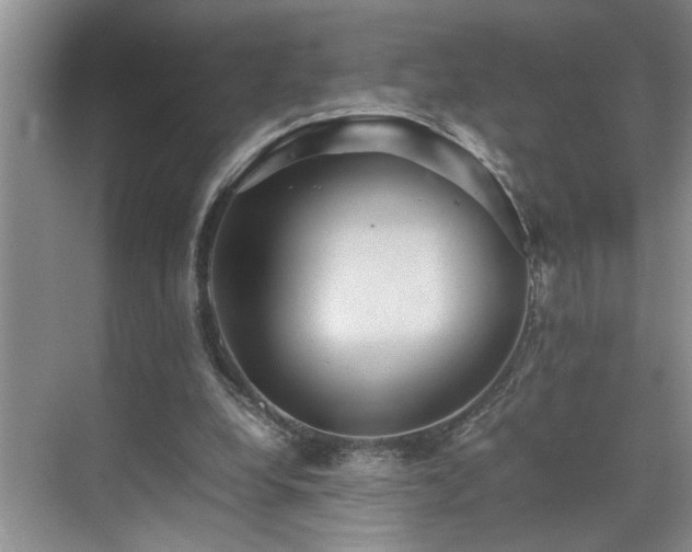 X0000070370248200606121242