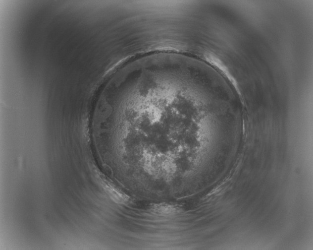 X0000070370249200606121242