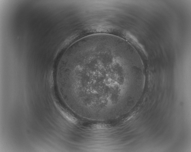 X0000070370250200606121242