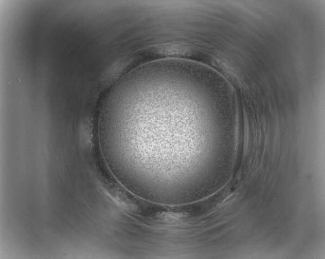 X0000070370255200606121243