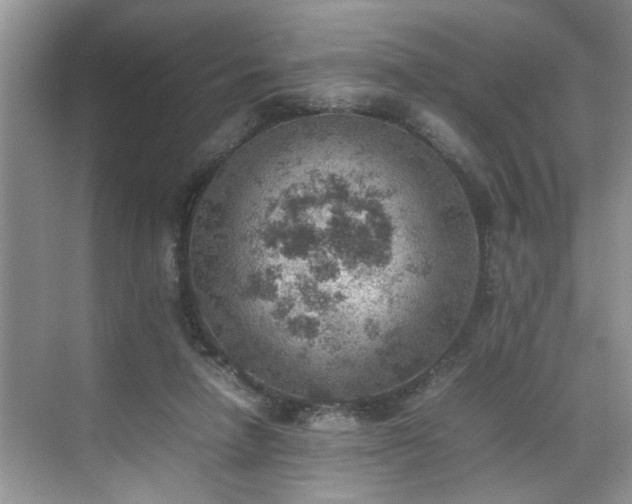 X0000070370258200606121243