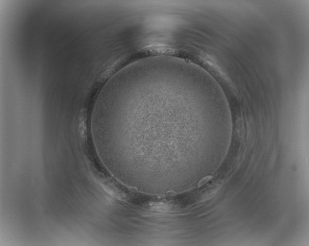 X0000070370259200606121243