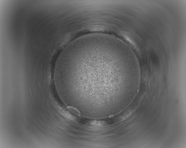 X0000070370261200606121243