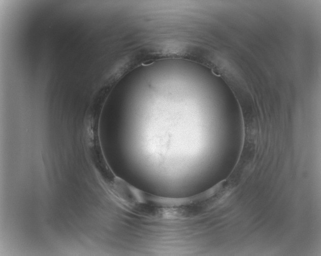 X0000070370264200606121243