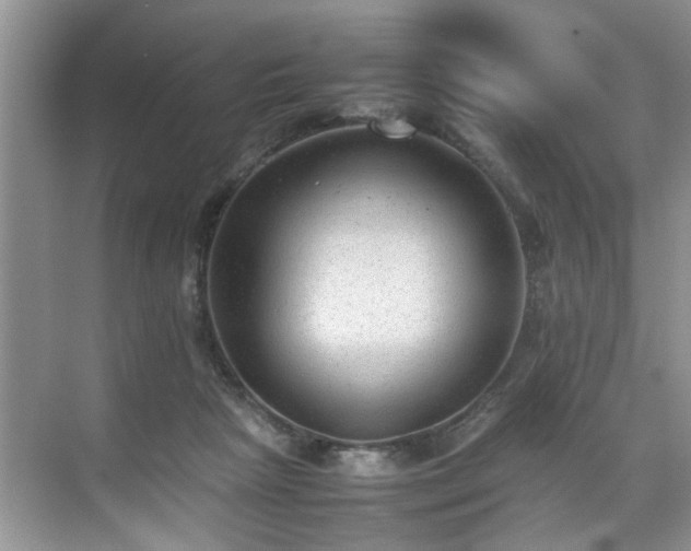 X0000070370265200606121243