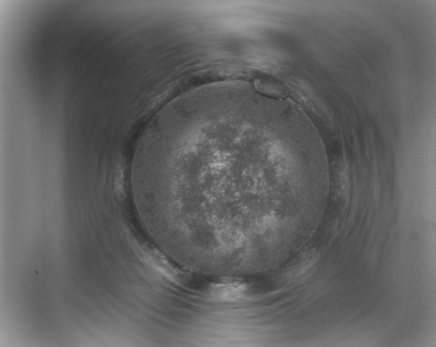 X0000070370266200606121243