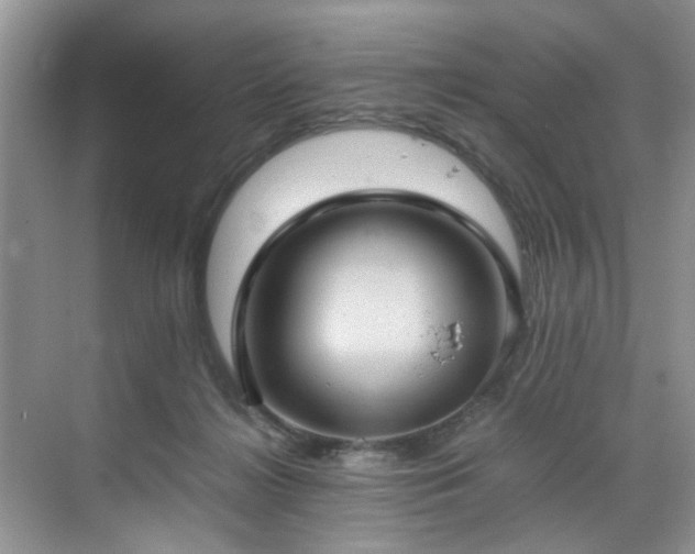 X0000070370268200606121243