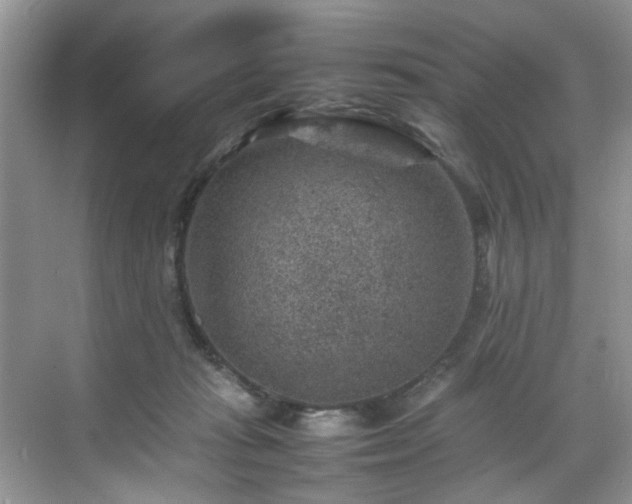 X0000070370269200606121243