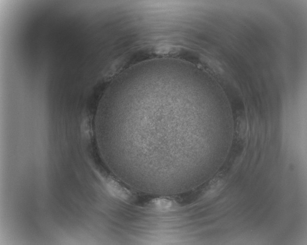 X0000070370272200606121243