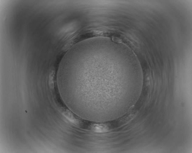 X0000070370275200606121243