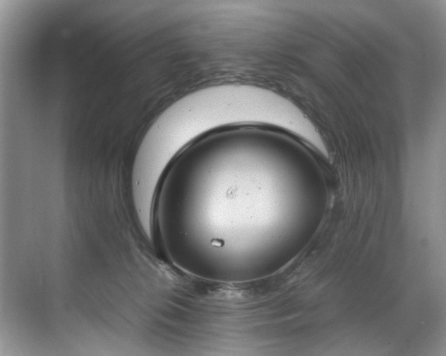 X0000070370276200606121243