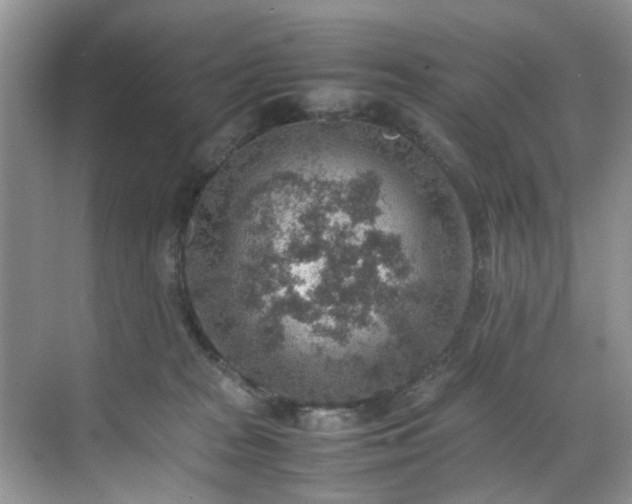 X0000070370277200606121243