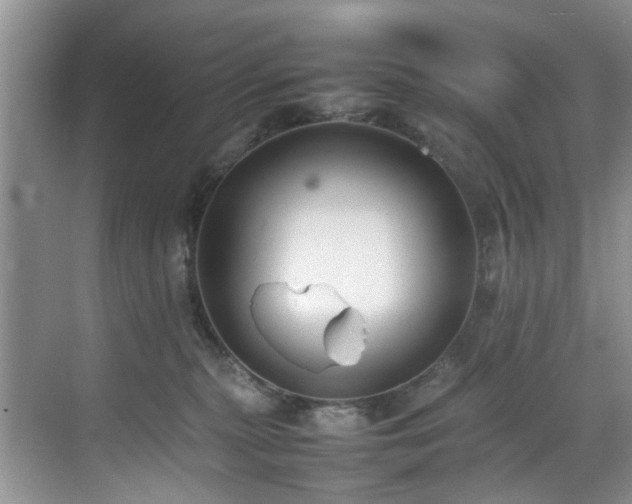 X0000070370279200606121243