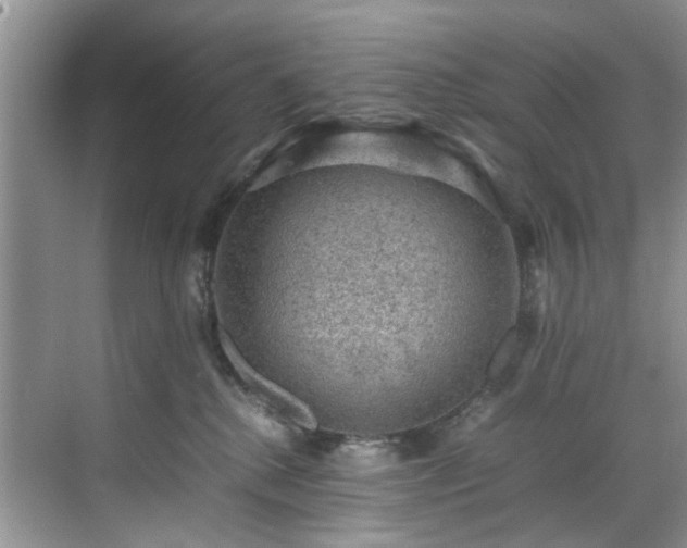 X0000070370280200606121243