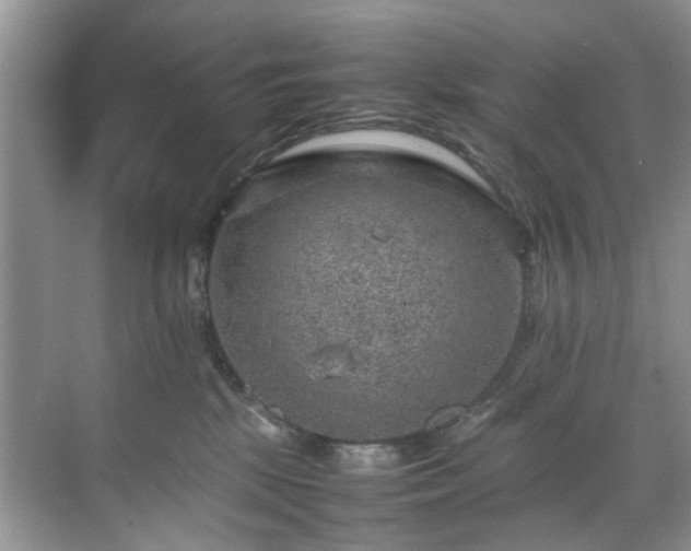 X0000070370281200606121243