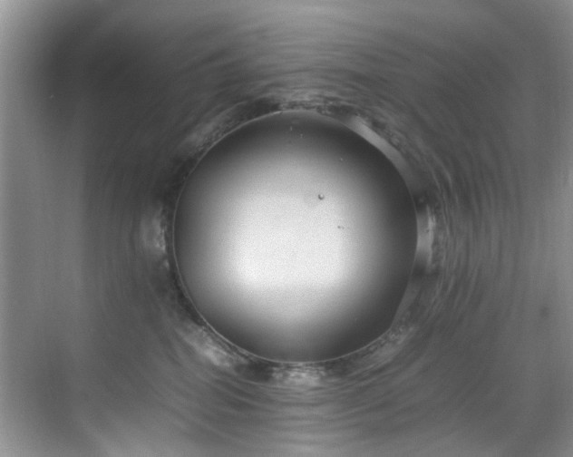 X0000070370282200606121243