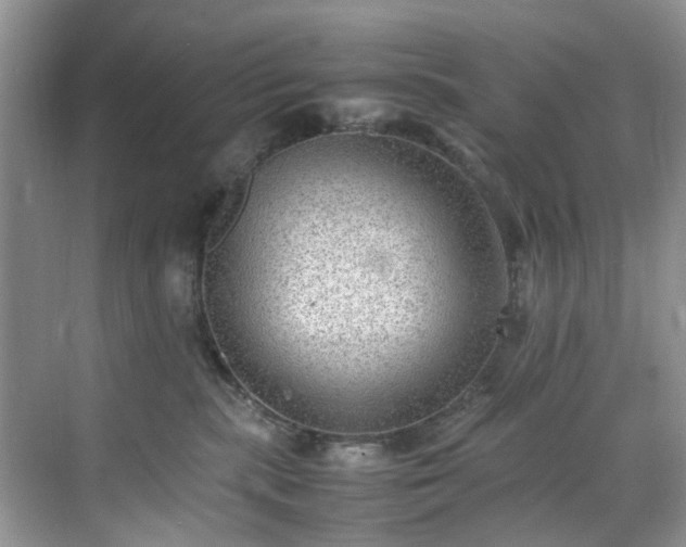 X0000070370283200606121243