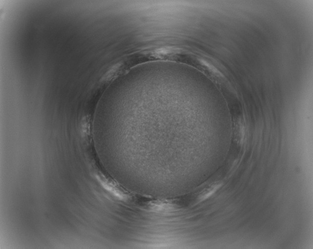 X0000070370284200606121243