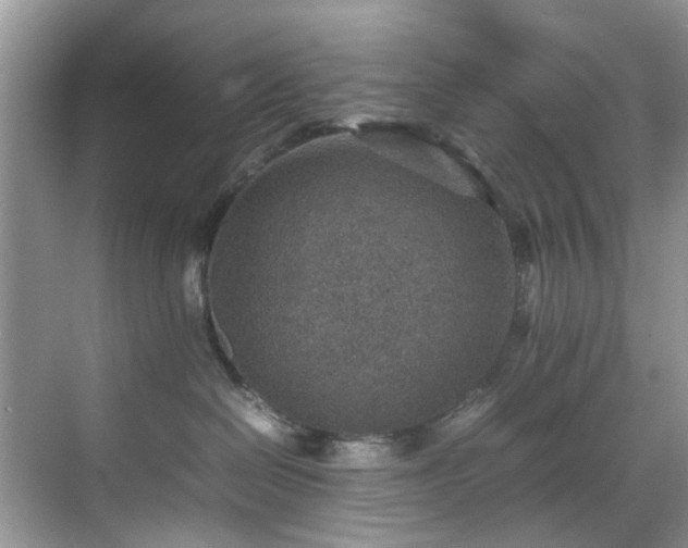 X0000070370286200606121243