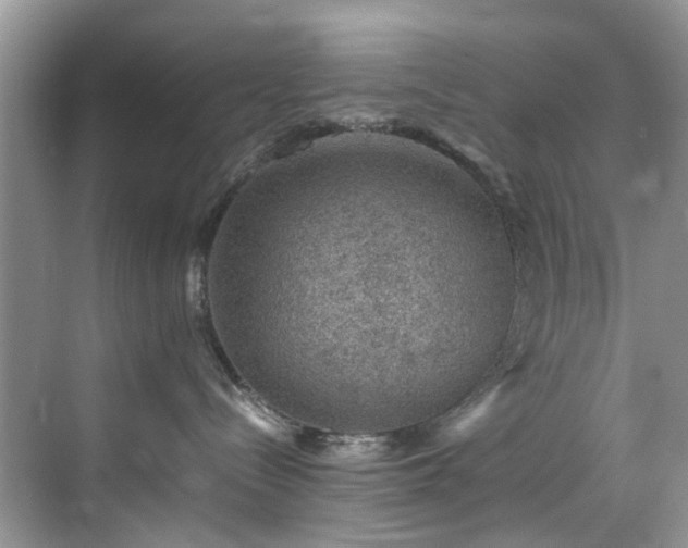 X0000070370288200606121243