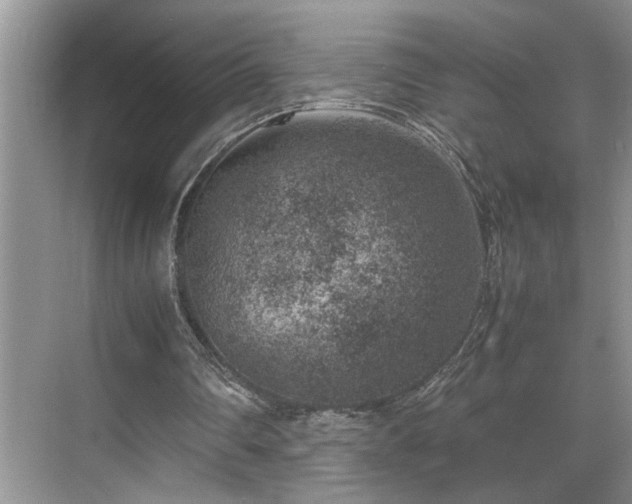 X0000070370290200606121242