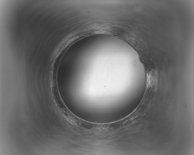 X0000070370291200606121242