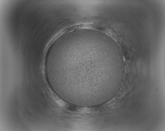 X0000070370293200606121242