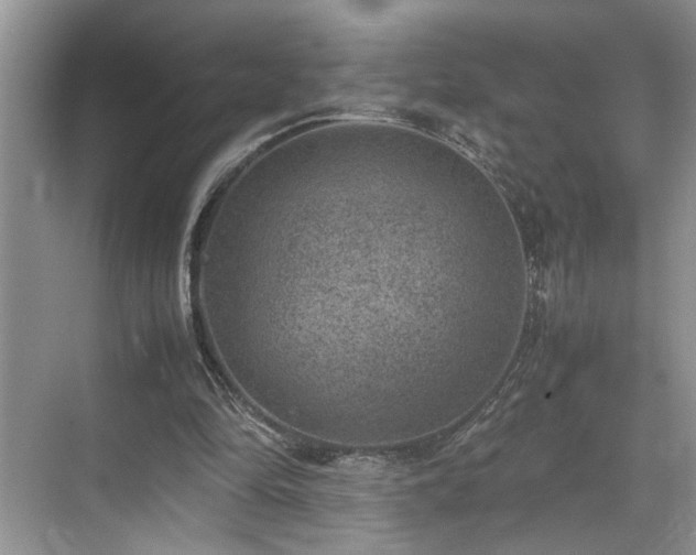 X0000070370294200606121242