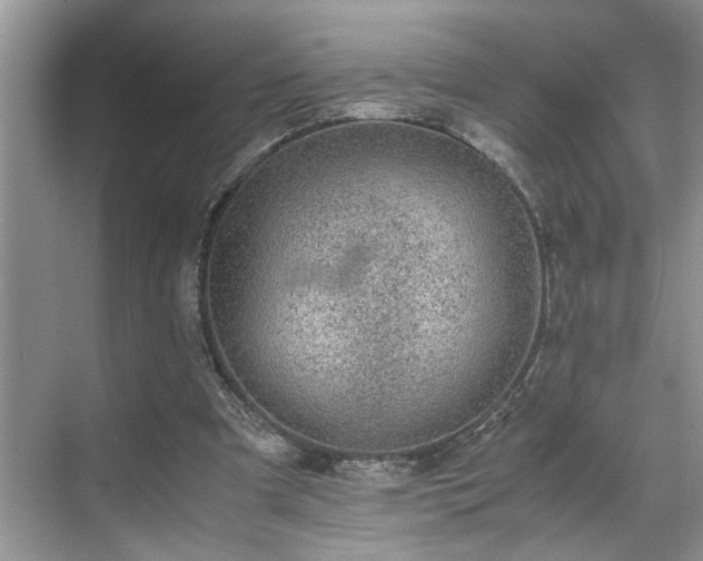 X0000070370297200606121242