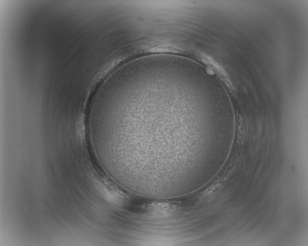 X0000070370298200606121242