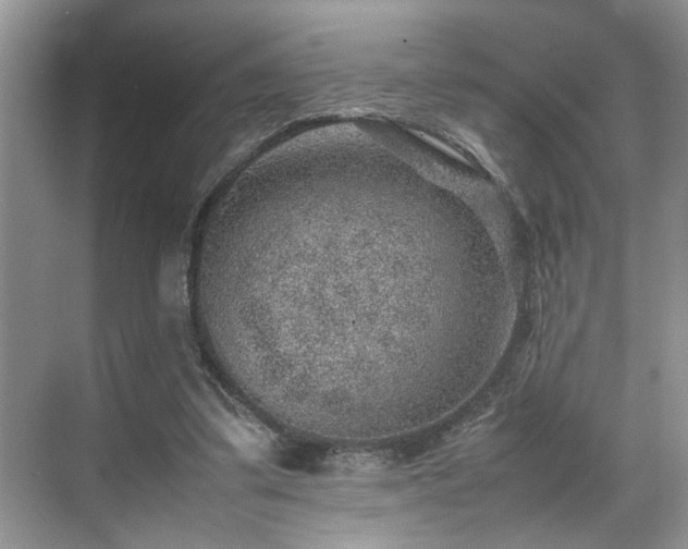 X0000070370299200606121242