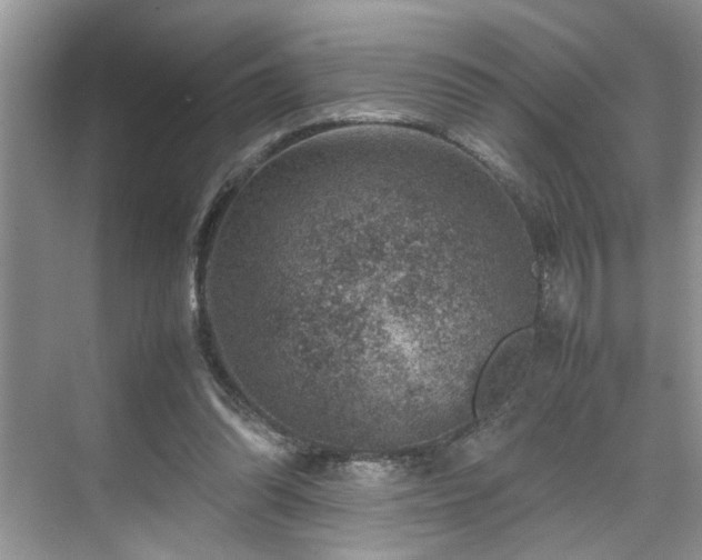 X0000070370302200606121242