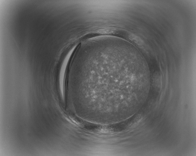 X0000070370303200606121242