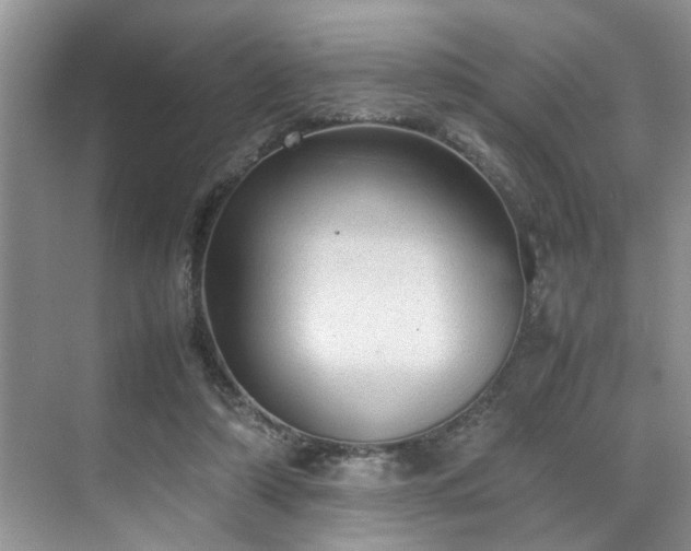 X0000070370306200606121242