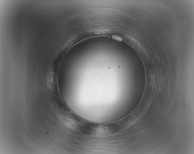 X0000070370308200606121242