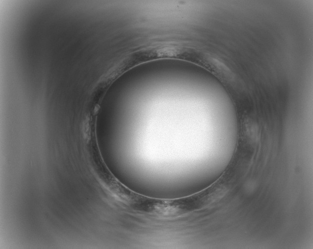 X0000070370311200606121242