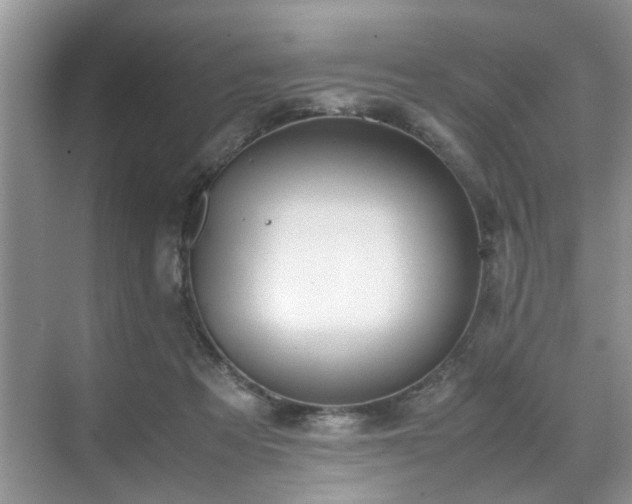 X0000070370313200606121242