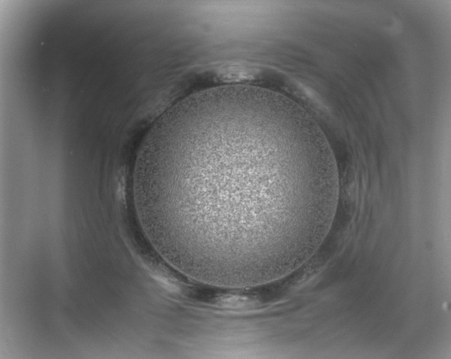 X0000070370315200606121242