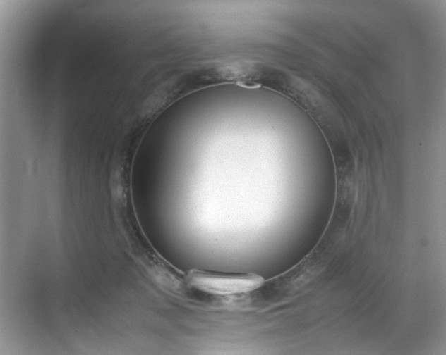 X0000070370317200606121242