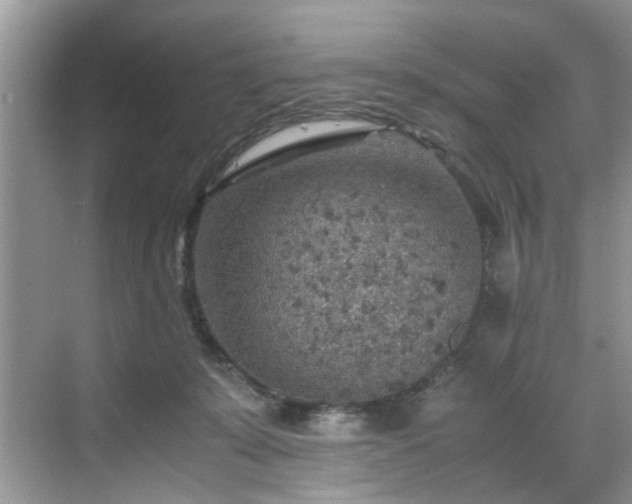 X0000070370319200606121242