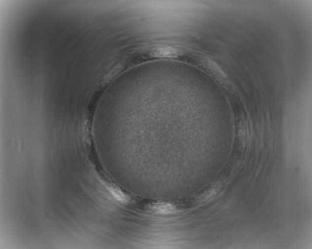 X0000070370322200606121242